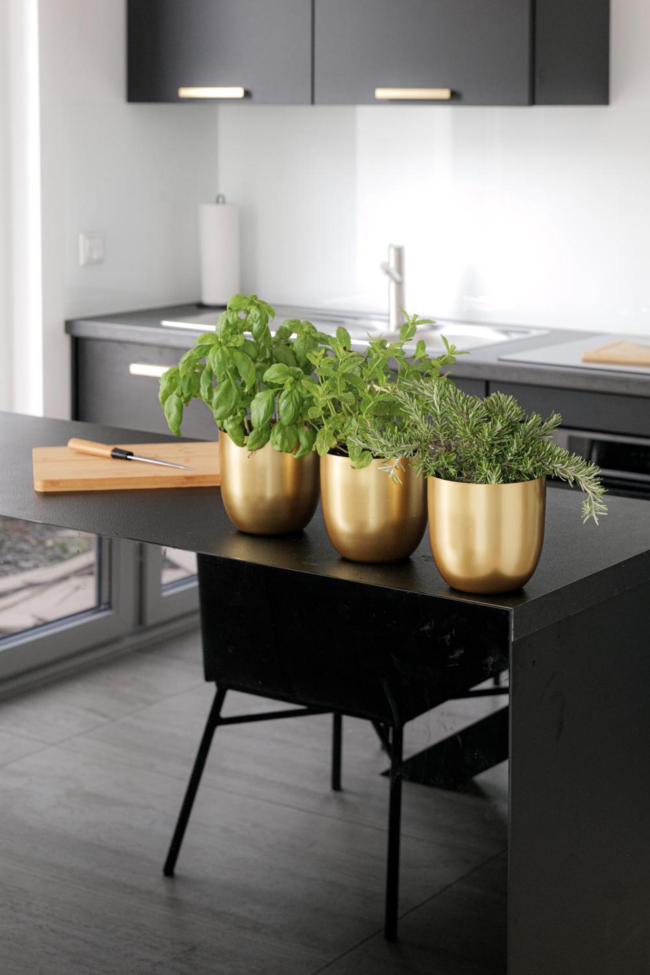Lulex IV - Traumwohnung Terasse Garten In Neuss Buitenkant foto